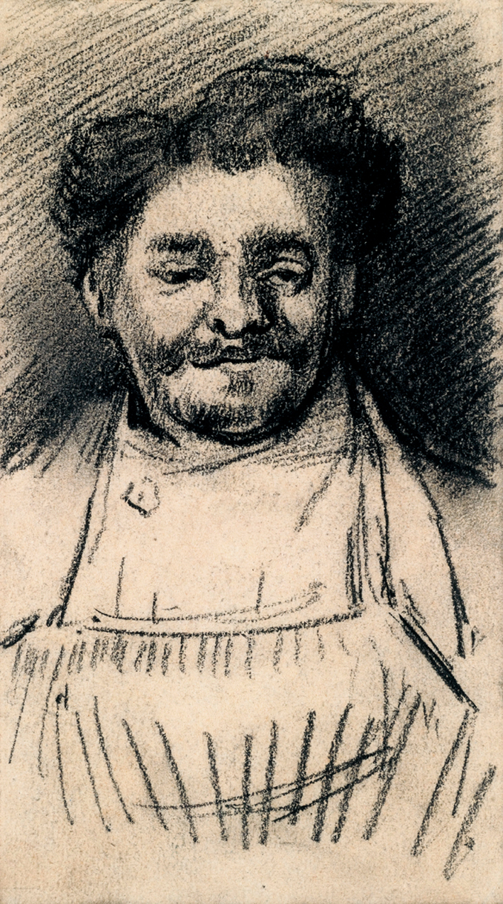  文森特·威廉·梵高  Vincent Willen Van Gogh —— 肖像 (5)